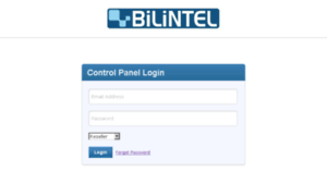 Domainpanel.bilintel.com thumbnail