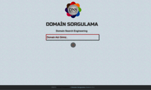Domainsorgulama.com.tr thumbnail
