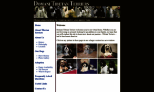 Domani-tibetan-terriers.com thumbnail