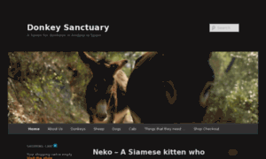 Donkey-sanctuary.com thumbnail