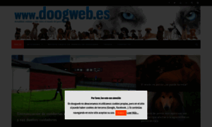 Doogweb.com thumbnail