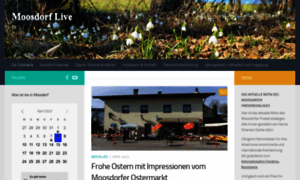 Dorf.tv thumbnail
