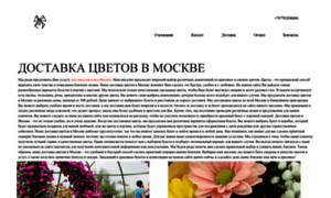 Dostavka-buketov-msk.ru thumbnail