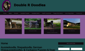 Doubleraussiedoodles.com thumbnail