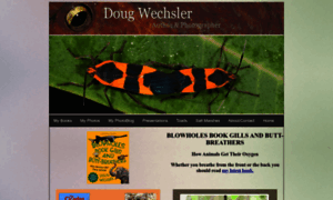 Dougwechsler.com thumbnail