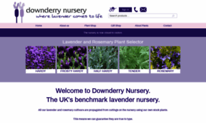 Downderry-nursery.co.uk thumbnail