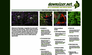 Downsizer.net thumbnail