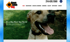 Downtowndogdallas.com thumbnail