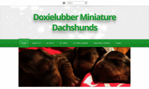 Doxielubberminiaturedachshunds.weebly.com thumbnail