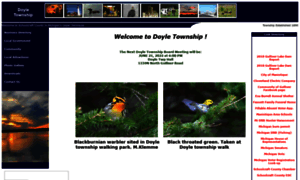 Doyletownship.com thumbnail