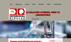 Dpqhidalgo.com.mx thumbnail