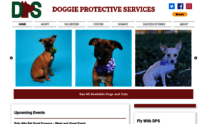 Dpsrescue.com thumbnail