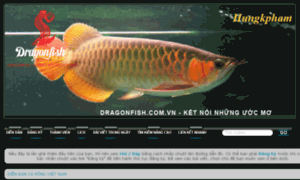 Dragonfish.com.vn thumbnail