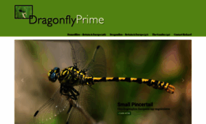Dragonflyprime.co.uk thumbnail