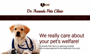 Dranandspetsclinic.com thumbnail