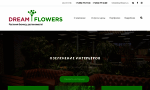 Dreamflowers.ru thumbnail