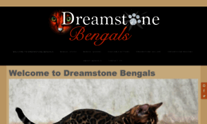 Dreamstonebengals.co.uk thumbnail