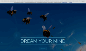 Dreamyourmind.com thumbnail