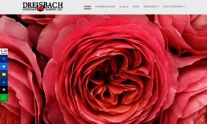 Dreisbachs.com thumbnail