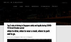 Driveinsg.com thumbnail