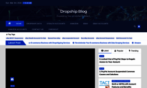 Dropshipblog.co.uk thumbnail