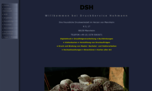 Druckservice-hohmann.de thumbnail