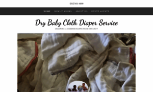 Drybabyclothdiaperservice.com thumbnail