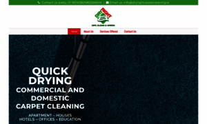 Dryrightcarpetcleaning.site.fcrmedia.ie thumbnail
