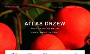 Drzewapolski.pl thumbnail