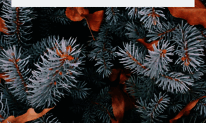 Ds20spb.ru thumbnail