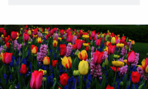 Ds45spb.ru thumbnail