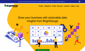 Dsghelp.brightgauge.co thumbnail