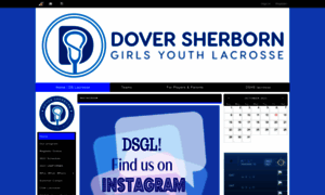 Dsgirlslacrosse.org thumbnail