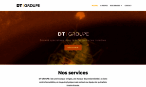 Dt-groupe.com thumbnail