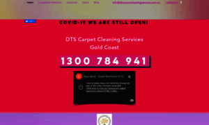 Dtscarpetcleaningservices.com.au thumbnail