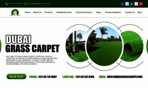 Dubaigrasscarpet.com thumbnail