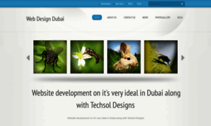 Dubaiwebdesign7.webnode.com thumbnail