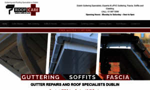 Dublinroofcare.ie thumbnail