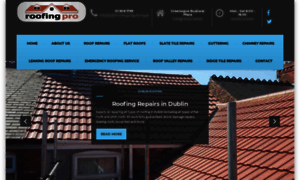 Dublinroofingandguttering.ie thumbnail