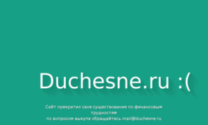 Duchesne.ru thumbnail