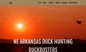 Duckbustersguideservice.com thumbnail