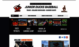 Ducksbaseball.org thumbnail