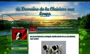 Dudomainedelaclairiereauxloups.chiens-de-france.com thumbnail