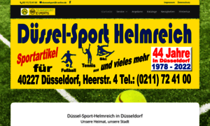 Duessel-sport-helmreich.de thumbnail
