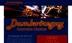 Dumbwireguy.com thumbnail