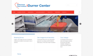 Durrercenter.nl thumbnail