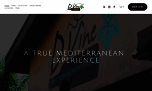 Dvineexperience.com thumbnail