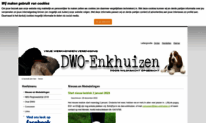 Dwo-enkhuizen.nl thumbnail