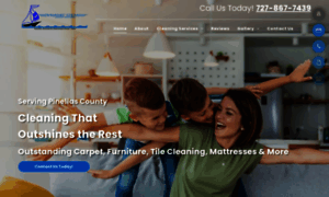 Dynamicsteamcarpetcleaners.com thumbnail