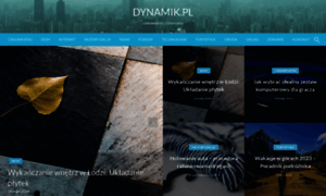 Dynamik.pl thumbnail